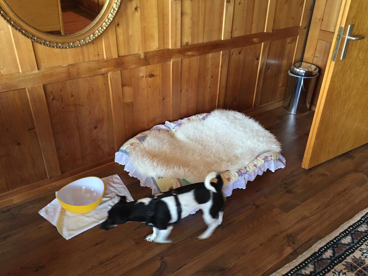 Wohlfuehloase Fuer Mensch Und Hund Bed and Breakfast Uzwil Exteriör bild