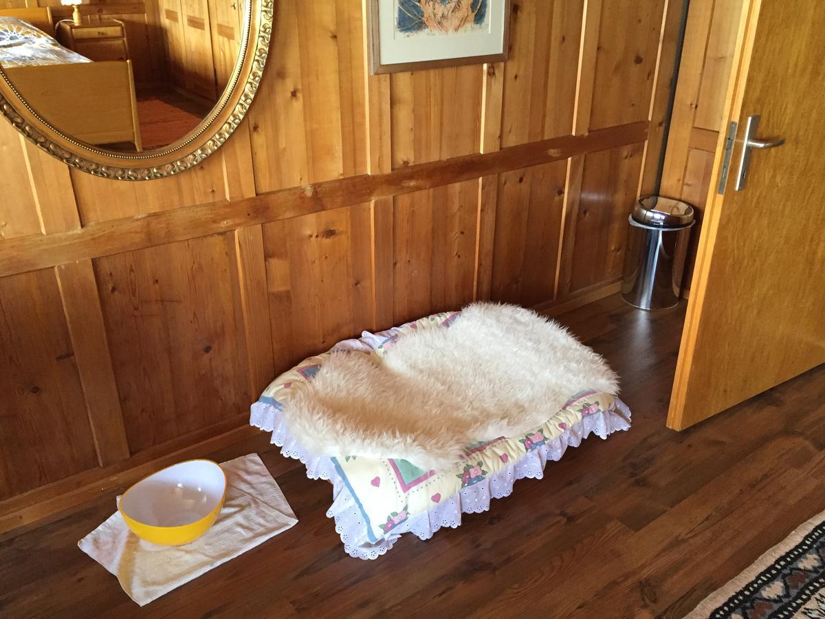 Wohlfuehloase Fuer Mensch Und Hund Bed and Breakfast Uzwil Exteriör bild